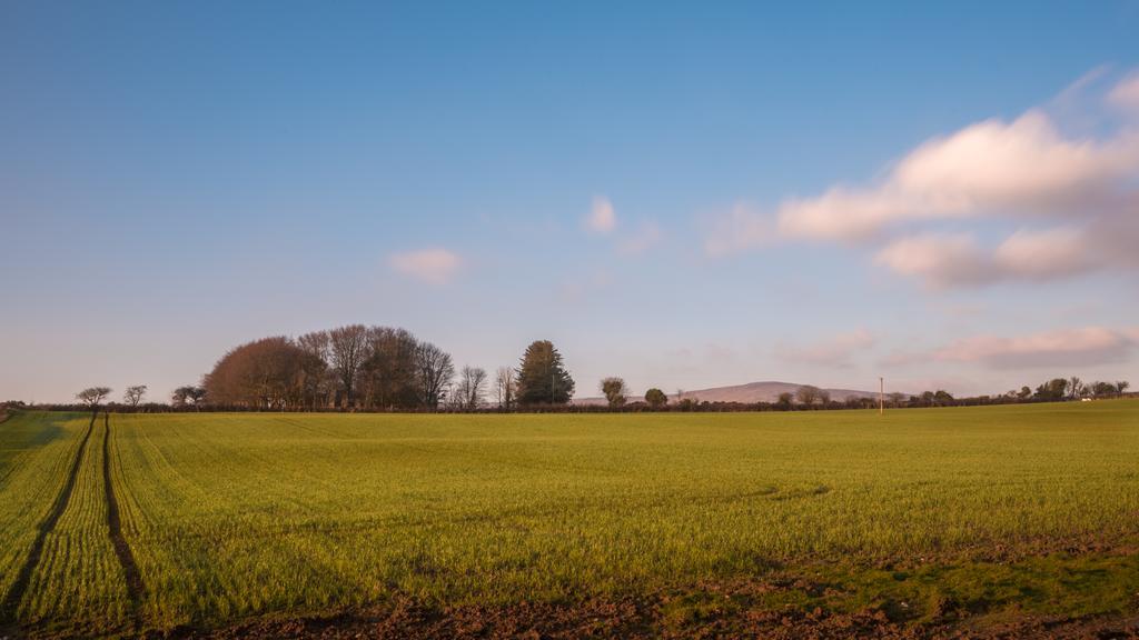 Elagh Cottages Londonderry Luaran gambar